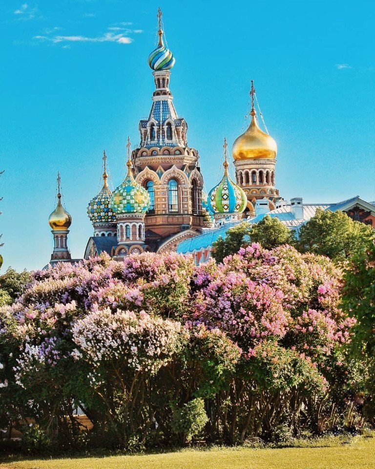  https://fotostrana.ru/away?to=/sl/raN2 by alexsandrkonovodov - 5