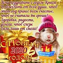 ���� �����, �������, 51 ��� - ��������� 31 ������� 2019 � ������ ������ ��������
