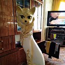 ���� �������, �������, 58 ��� - ��������� 26 ������� 2019