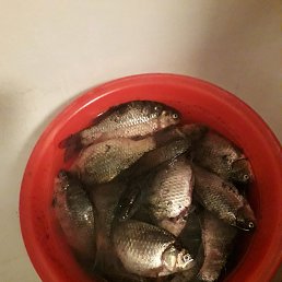 ���� �������, ��������, 44 ���� - ��������� 11 ���� 2019
