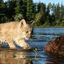 ���� �����, ���������, 46 ��� - ��������� 25 ������� 2019 � ������ ���� ����������