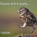 ���� ���, ����������� - ��������� 15 ������� 2019 � ������ ������ ��������