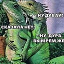 ���� Anatoly, ����������, 48 ��� - ��������� 13 ������� 2019