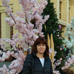 �����, ������