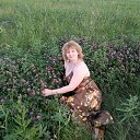 ����, 2019 �� ������� ���� ����������