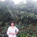 ���� �������, ������������, 56 ��� - ��������� 2 ������ 2019 � ������ ���� ����������