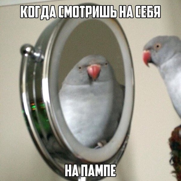 SportFeed - 15  2019  03:42