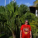 ���� ������, ������, 53 ���� - ��������� 6 ������ 2019 � ������ ����� 2019�