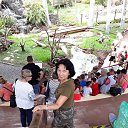 ���� �������� ��������-gelsenkirchen, �����, 61 ��� - ��������� 7 ������� 2019 � ������ ���� ����������