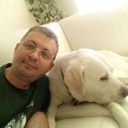 ���� ������, �������, 52 ���� - ��������� 7 ���� 2019