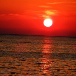 ���� ��������, ���, 67 ��� - ��������� 29 ������ 2019