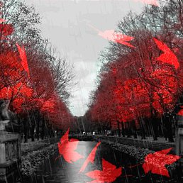 ��3��3����3, �����-���������, 40 ���