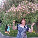 ���� �����, �����������, 54 ���� - ��������� 24 �������� 2019 � ������ ���� ����������