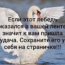 ���� ���������, �����, 54 ���� - ��������� 24 �������� 2019 � ������ ������ ��������