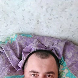 ����, ����������, 40 ���