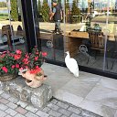  T, , 58  -  9  2019   Macedonia 2018