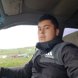 ����, ���������, 38 ���