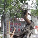 ���� �������, �����-���������, 56 ��� - ��������� 12 ������� 2019 � ������ ���� ����������