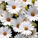 ���� �����, ����, 60 ��� - ��������� 20 ������ 2019 � ������ ���� ������