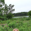 ���� ����, ����-���������, 50 ��� - ��������� 31 ������� 2019 � ������ ���� ����������