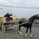 ���� ��������, ������, 42 ���� - ��������� 2 ���� 2019 � ������ ���� ����������