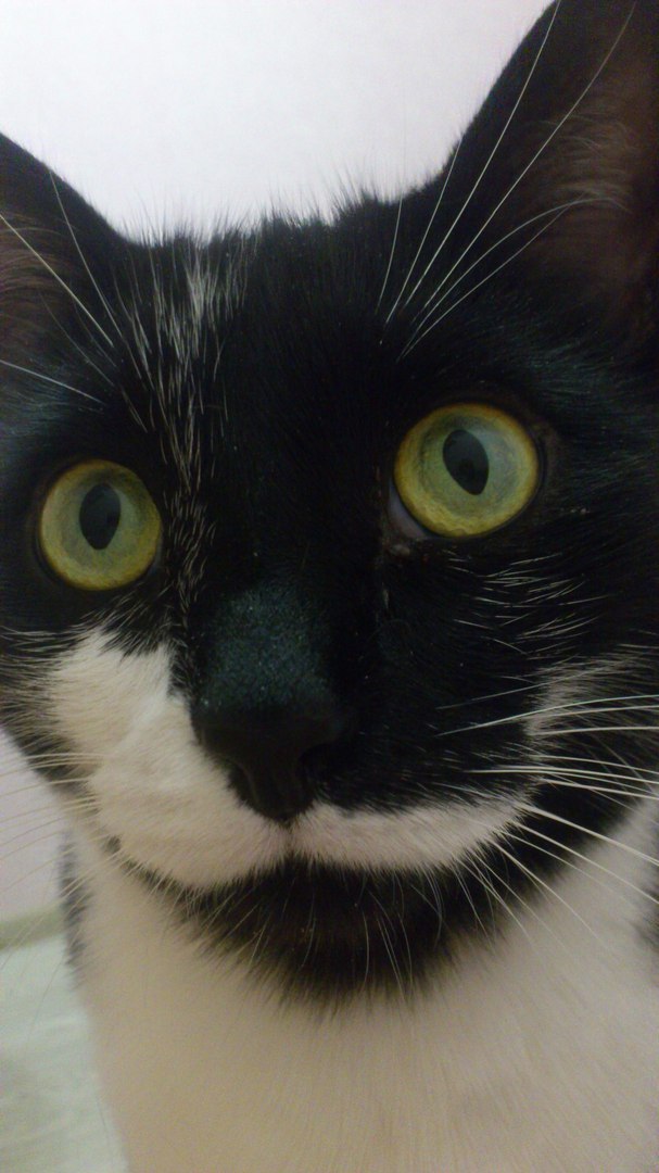  )))))) - 25  2019  15:01