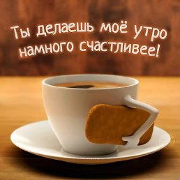 ���� ������, ���� - ��������� 28 ��� 2019