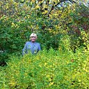 ���� �����, �����-��������� - ��������� 20 ������� 2019 � ������ ����� �� �������