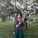 ��� 2019 �� ������� ���������� ������