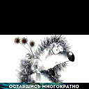 ���� �������, �����, 63 ���� - ��������� 20 ���� 2019 � ������ ������ ��������