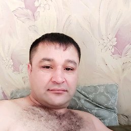 ����, ����������, 42 ����