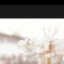 ���� ����, ��������� - ��������� 11 ���� 2019 � ������ ���� ����������