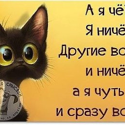 ���� ������, ������������, 49 ��� - ��������� 14 ���� 2019