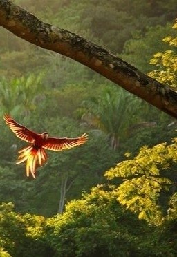 ���-27 �������� ������� ��� ���������� �����. 1. �� ����� ����� �� ������������. 2. H������� � ... - 2