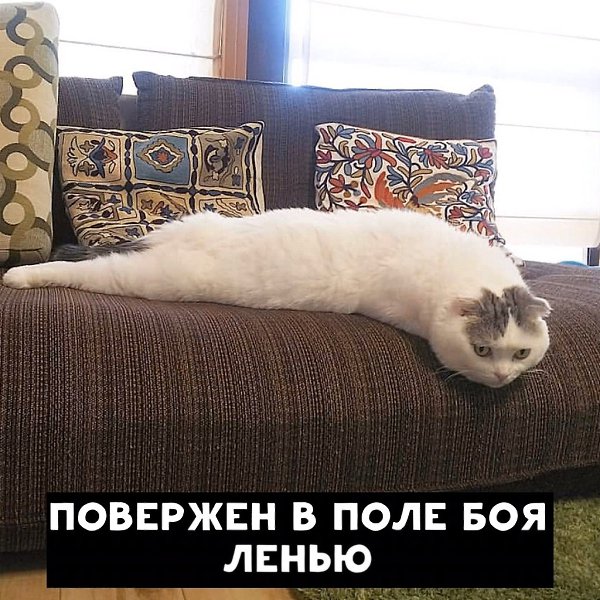    - 2