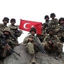  , -, 64  -  31  2019     