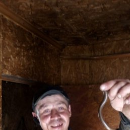 ������, ������, 41 ���