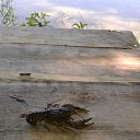 ���� Tadeusz, �����, 63 ���� - ��������� 14 ���� 2019 � ������ ���� ����������