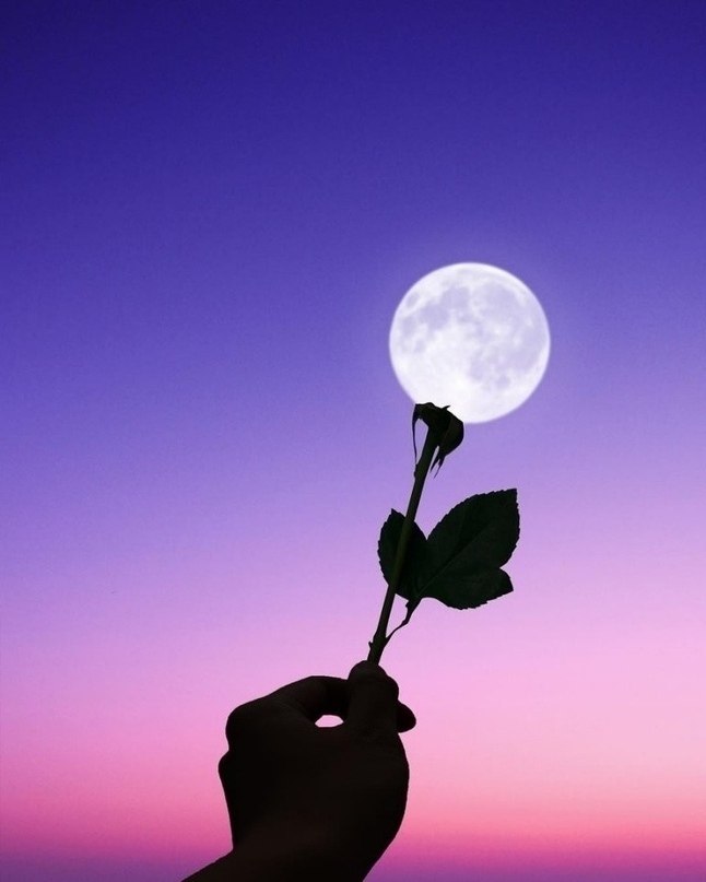 c o,  ce o e,  c ac . - 5