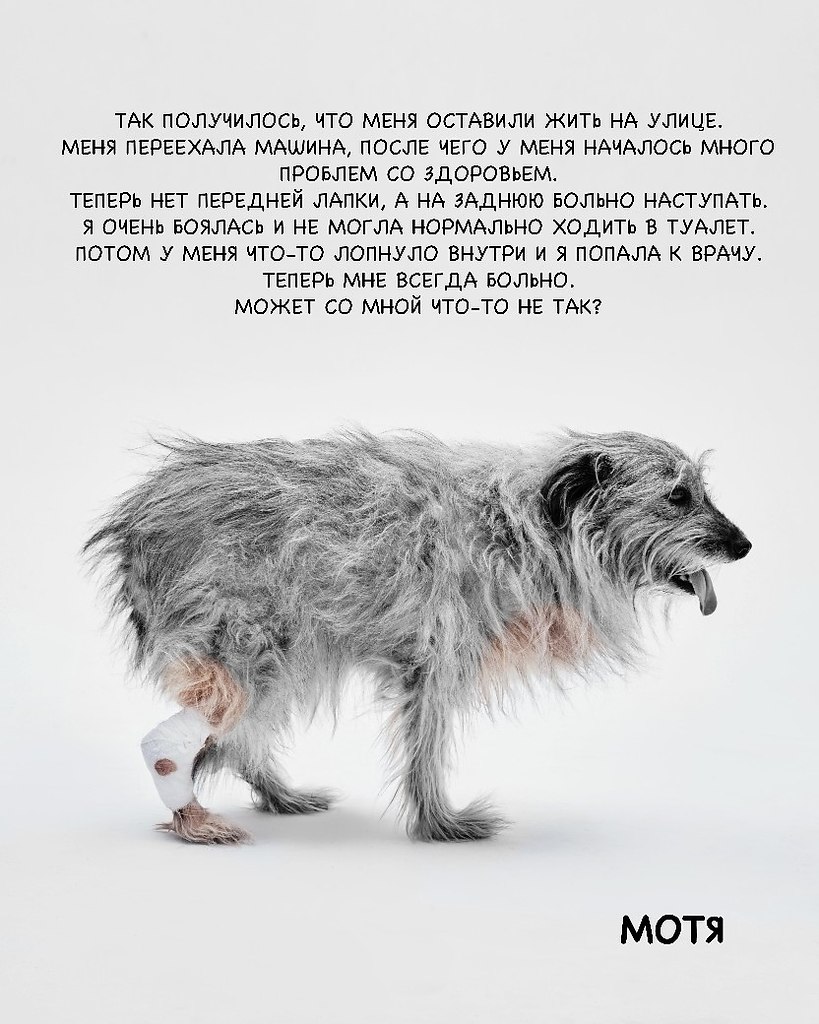 o o  ooe  ecoc.o o, opa   o,  ... - 6