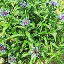 ���� ���������, ���������, 71 ��� - ��������� 19 ���� 2019 � ������ ������ ��������