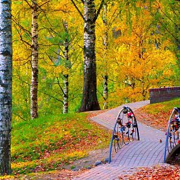 ���� �������, ��������� - ��������� 7 ������� 2019