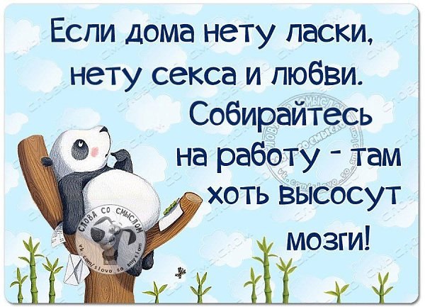 ��� ���� - 11 ������� 2019 � 08:51