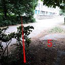  Aleks, , 33  -  28  2019    