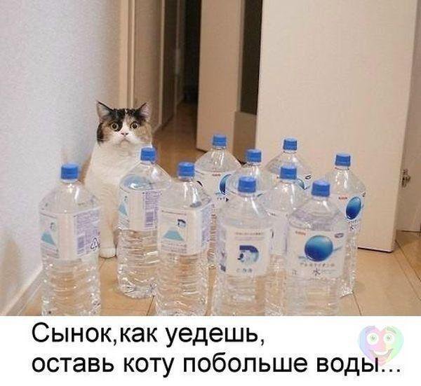   - 14  2019  11:08
