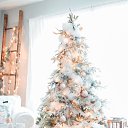 ���� �������, ���������, 65 ��� - ��������� 30 ������� 2019 � ������ ������ ��������