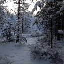 ���� �����, �����-��������� - ��������� 3 ������ 2019 � ������ ���� ����������