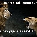 ���� ������, �����-���������, 56 ��� - ��������� 25 ������ 2019 � ������ ���� ����������