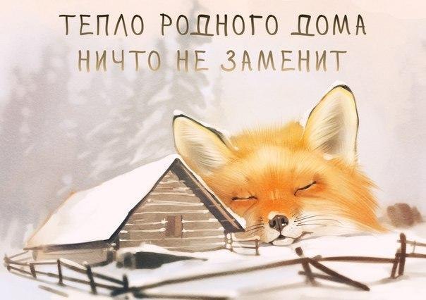 ������ - 14 ������ 2019 � 11:49