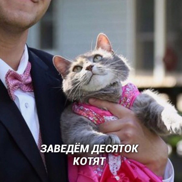    ... - 2